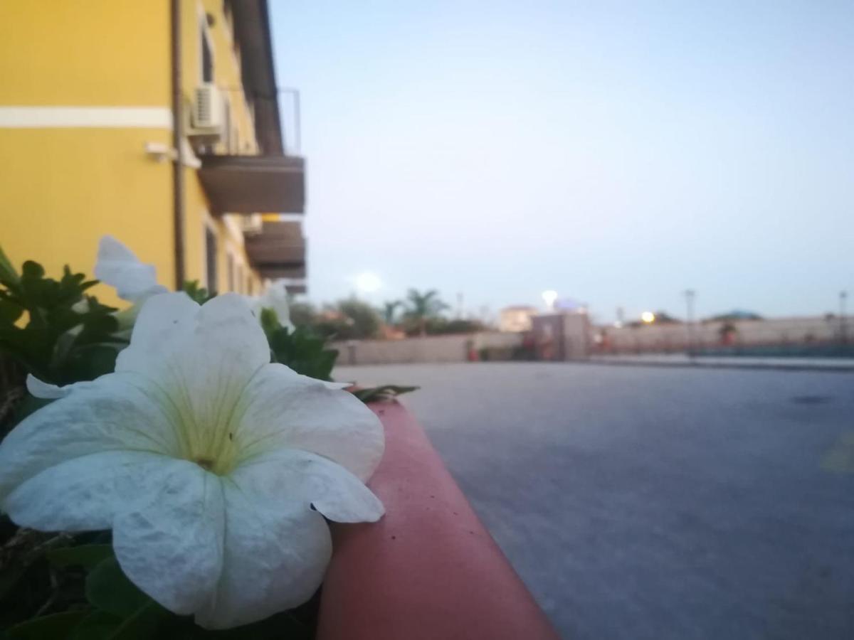 I Colori Dell'Etna Bed and Breakfast San Giovanni La Punta Εξωτερικό φωτογραφία